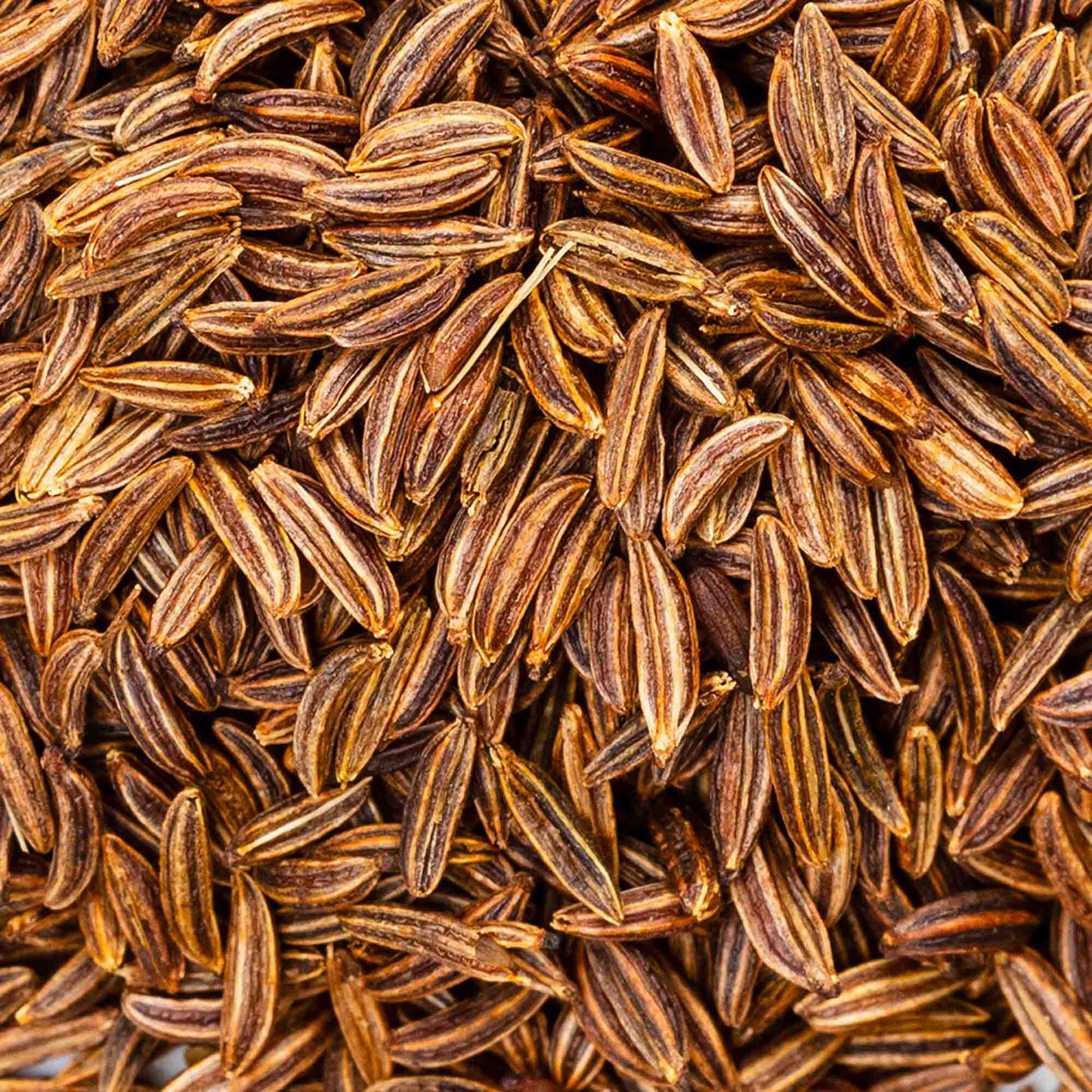 100 % Bio-Kreuzkümmelsamen – 100 g