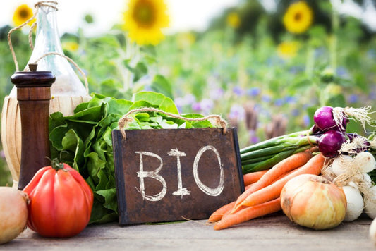 ALIMENTI BIOLOGICI: cosa significa? - IoBoscoVivo Srl