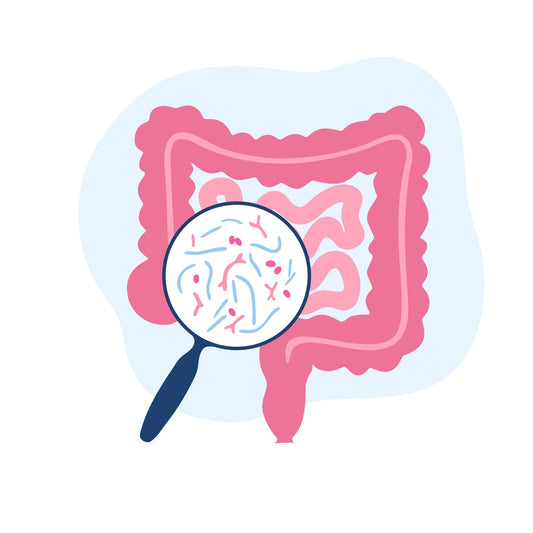 Microbiotica intestinale e attività fisica - IoBoscoVivo Srl