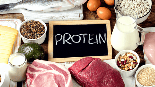Conosciamo meglio le proteine!