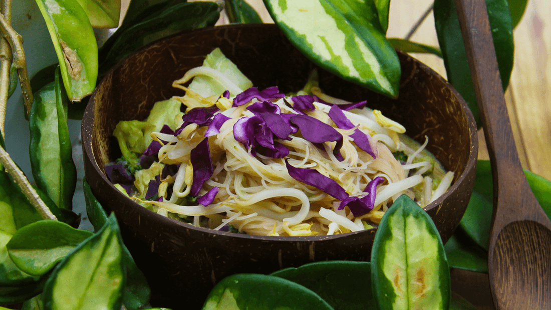 Zuppa thai al cocco con verdure