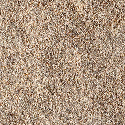 Lion's Mane in polvere BIO 100g - Fungo Hericium erinaceus biologico - IoBoscoVivo