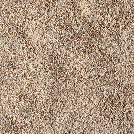 Lion's Mane in polvere BIO 100g - Fungo Hericium erinaceus biologico - IoBoscoVivo