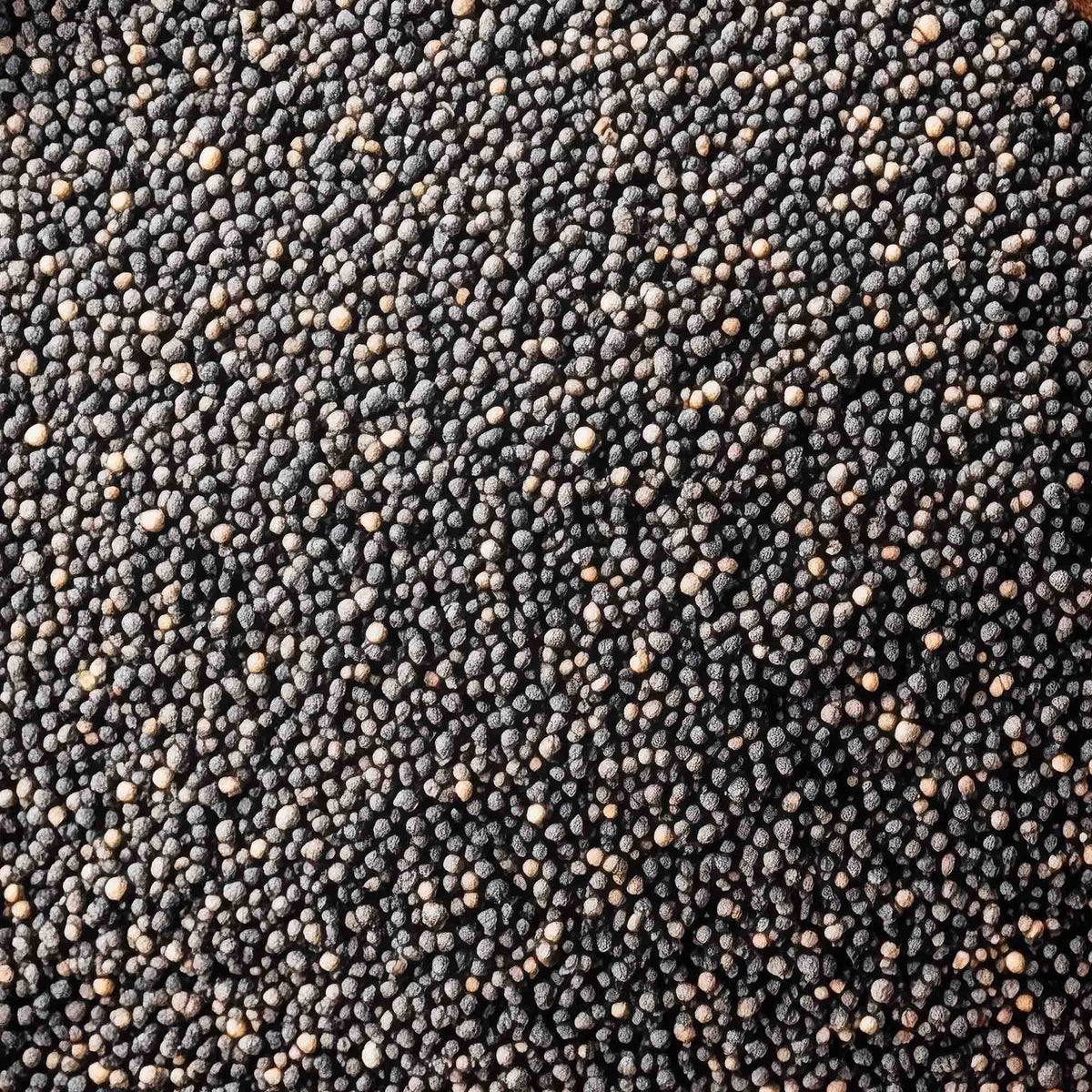 100% Semi di Chia BIO - 150g | Ideale per CHIA Pudding - IoBoscoVivo Srl