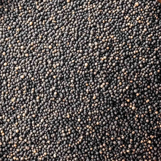 100% Semi di Chia BIO - 150g | Ideale per CHIA Pudding - IoBoscoVivo Srl