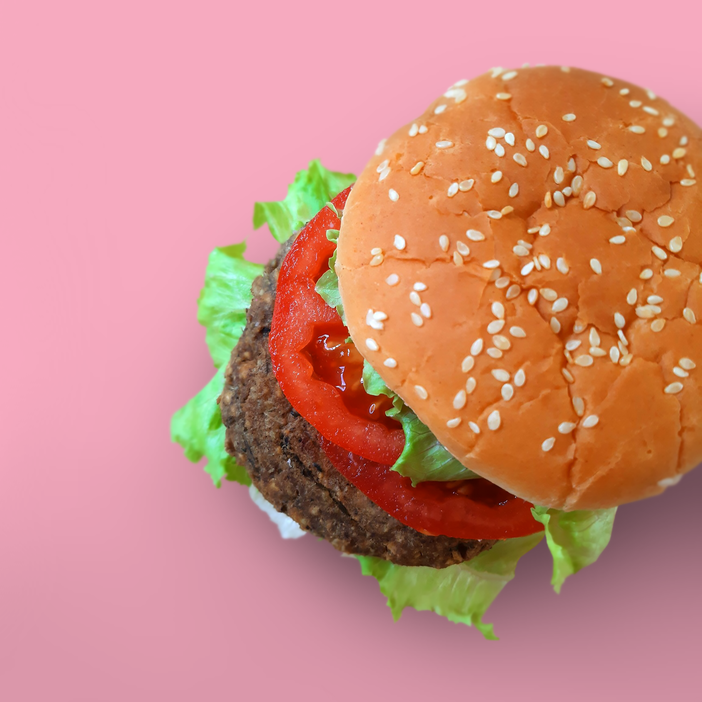 Burger 'L'Alternativo'