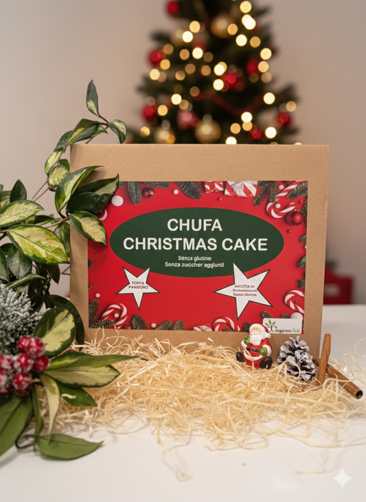 Chufa Christmas Cake SENZA GLUTINE