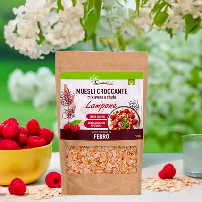 Muesli Croccante Bio Avena, Chufa e Lampone Senza Glutine 200g - IoBoscoVivo Srl