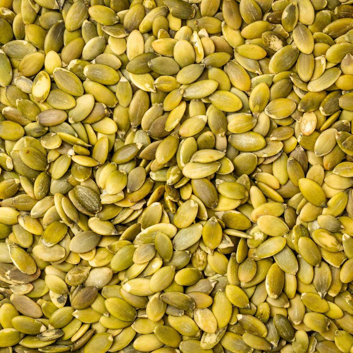 Semi di Zucca BIO 150g | Snack Croccante Naturale — Senza Glutine - IoBoscoVivo Srl